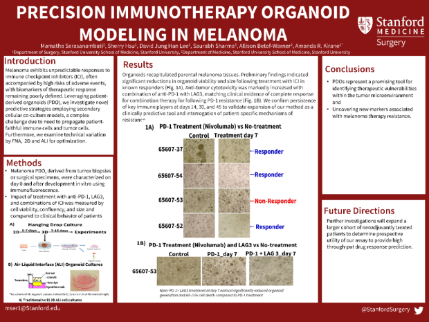 Poster: Precision Immunotherapy Organoid Modeling in Melanoma  